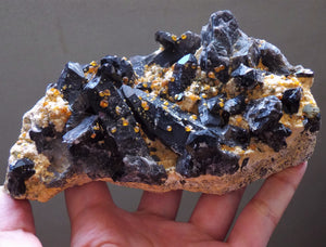 Spessartine Spessartite Garnets on Black Smoky Quartz Crystal Cluster Mineral Specimen - GA10183