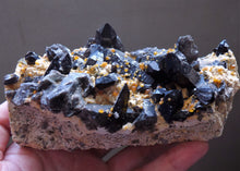 Spessartine Spessartite Garnets on Black Smoky Quartz Crystal Cluster Mineral Specimen - GA10183