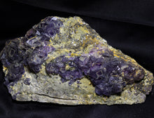 Gemmy Purple Fluorite on Pyrite Mineral Specimen Crystal Stone FLR10258