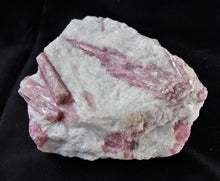 Rubellite Red Tourmaline Quartz Crystal Mineral Specimen TML10146