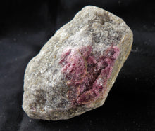 Rubellite Red Tourmaline Quartz Crystal Mineral Specimen TML10148