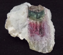 Natural Tricolor Watermelon Tourmaline Quartz Crystal Mineral Specimen TMLW10100