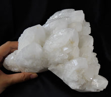Large Multi points White Alligator Quartz Elestial Crystal Cluster Mineral Specimen CQ10235