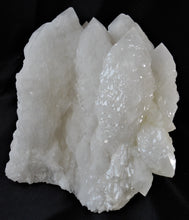 Large Multi points White Alligator Quartz Elestial Crystal Cluster Mineral Specimen CQ10235