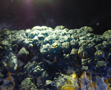 Gemmy Blue Fluorite Cube on Pyrite Mineral Specimen Crystal Stone FLR10253