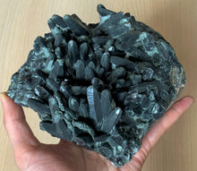 Large Hedenbergite Green Prase Quartz Crystal Cluster Mineral Specimen Inner Mongolia - GQ10152