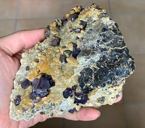 Purple Fluorite and Gold Pyrite Crystal Matrix Cluster Mineral Specimen FLR10298