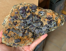 Large Raw Gemmy Bicolor Purple Blue Fluorite Quartz on Pyrite Matrix Crystal Mineral Specimen FLR10335