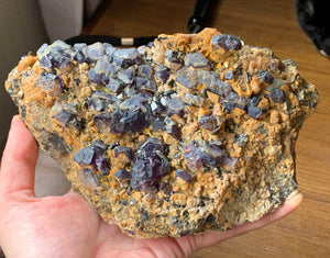 Large Raw Gemmy Bicolor Purple Blue Fluorite Quartz on Pyrite Matrix Crystal Mineral Specimen FLR10335