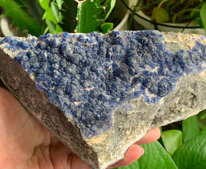 Big Blue Fluorite Mineral Specimen Crystal Stone FLR10255