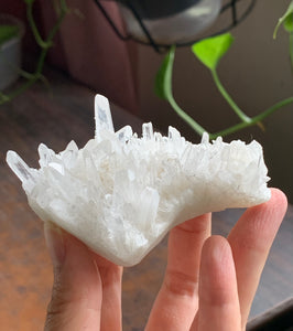 Clear Tibetan Quartz Crystal Point Cluster Mineral Specimen