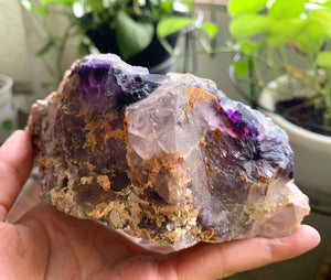 Big Raw Bicolor Purple Fluorite Cube on Pyrite Mineral Specimen Crystal Stone FLR10341