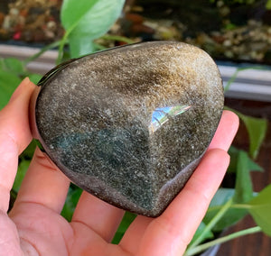 Big Gold Sheen Obsidian Heart Crystal Stone Palm Stone - GOB10188