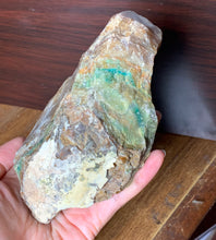 Rawa Blue Opalized Fossil Petrified Wood Mineral Specimen Crystal Stone OPW10134