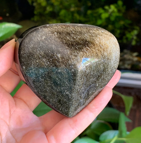 Big Gold Sheen Obsidian Heart Crystal Stone Palm Stone - GOB10188