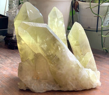 Extra Large Brazil Citrine Crystal Point Cluster Mineral Specimen