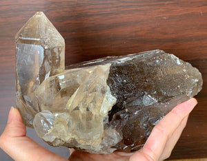 Large Clear Rutilated Smoky Quartz Crystal Terminated Point Cluster Mineral Specimen Stone Decor