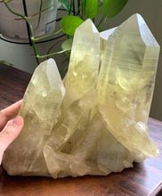 Extra Large Brazil Citrine Crystal Point Cluster Mineral Specimen