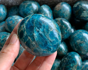 Top Blue Apatite Polished Tumble Mineral Crystal Reiki Chakra Healing Palm Stone